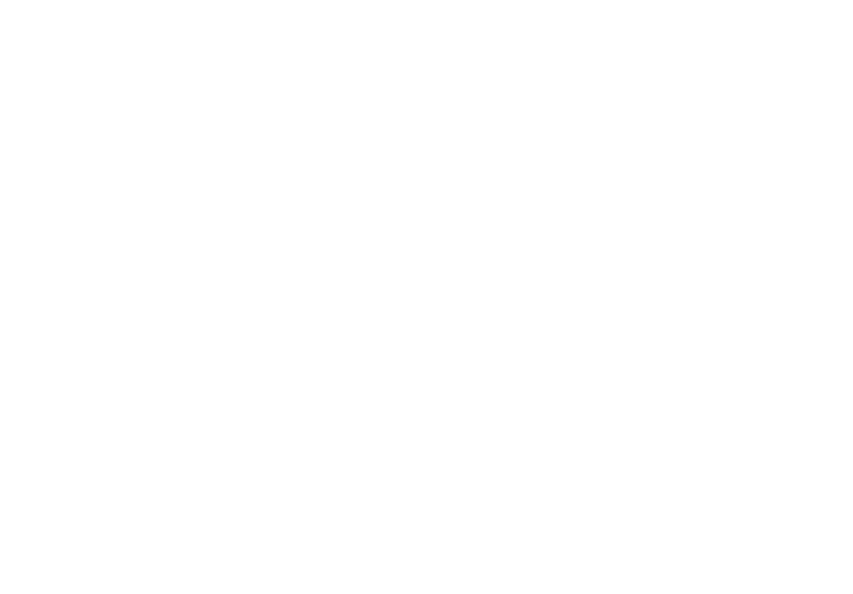 L&P Aesthetics Logo